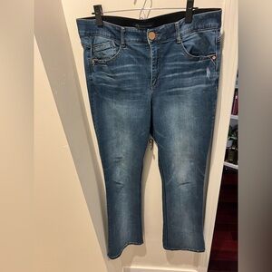 Classic Blue Women's Jeans democracy